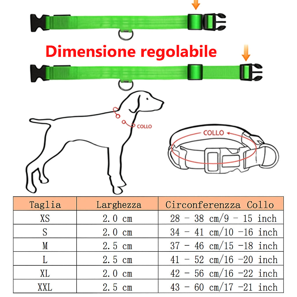GlowSafe – Collare LED Ricaricabile per Cani e Gatti
