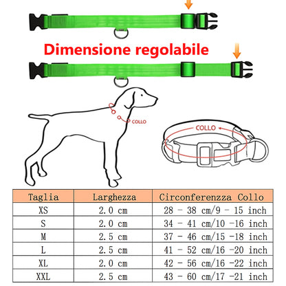 GlowSafe – Collare LED Ricaricabile per Cani e Gatti