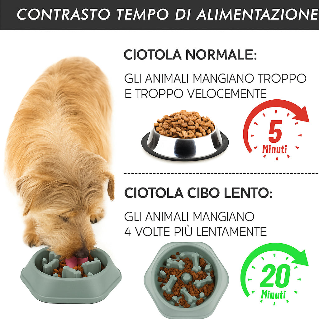 MazeBowl – Ciotola Slow Feeder Antisinghiozzo per Cani e Gatti