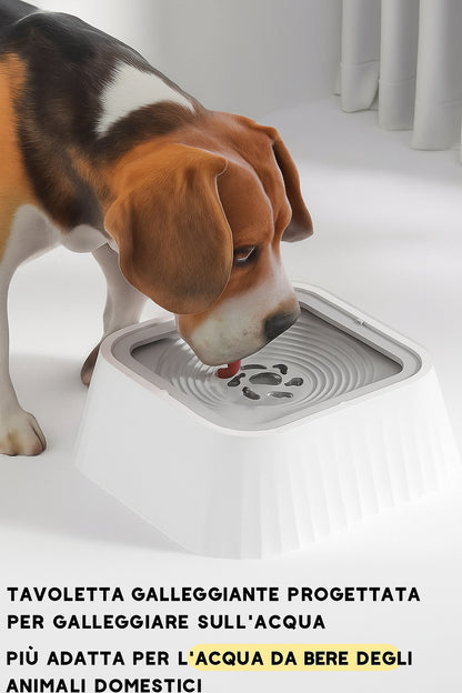 SplashGuard – Ciotola d’Acqua Pulita per Cani