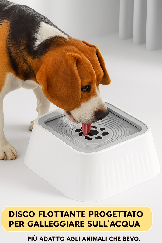 SplashGuard – Ciotola d’Acqua Pulita per Cani