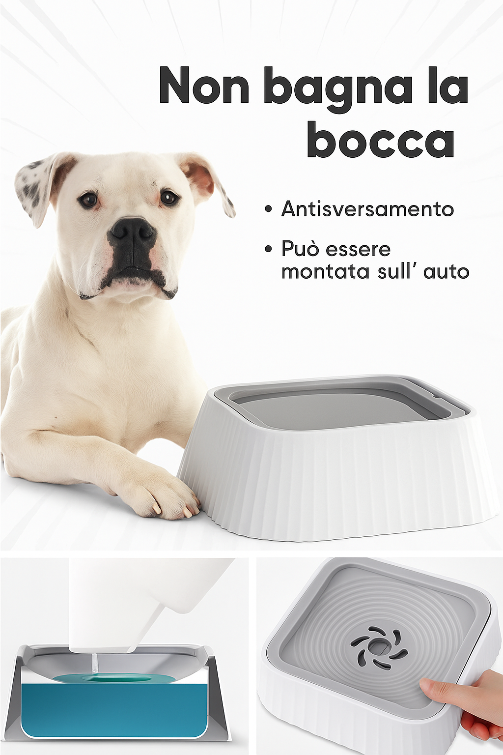 SplashGuard – Ciotola d’Acqua Pulita per Cani