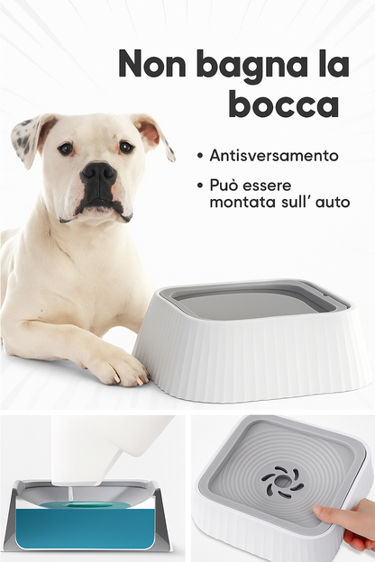 SplashGuard – Ciotola d’Acqua Pulita per Cani