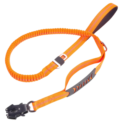 BungeeGuard – Guinzaglio Ammortizzante Riflettente per Cani Attivi