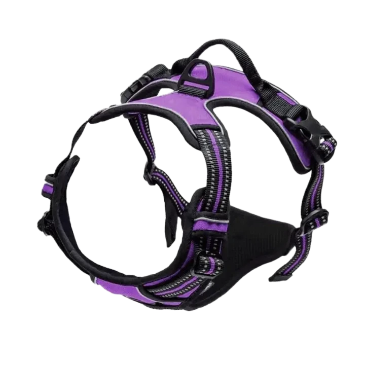 ControlVest – Pettorina No-Pull Riflettente con Maniglia di Controllo