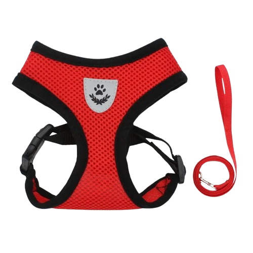 PawComfort – Pettorina Traspirante Regolabile con Riflettenti