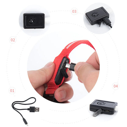 GlowSafe – Collare LED Ricaricabile per Cani e Gatti