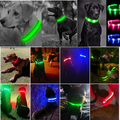 GlowSafe – Collare LED Ricaricabile per Cani e Gatti