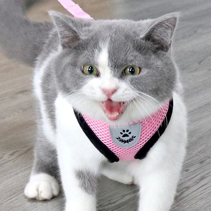 PawComfort – Pettorina Traspirante Regolabile con Riflettenti