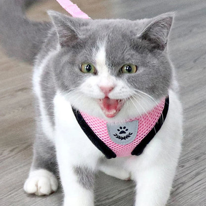 PawComfort – Pettorina Traspirante Regolabile con Riflettenti