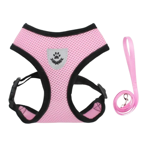 PawComfort – Pettorina Traspirante Regolabile con Riflettenti