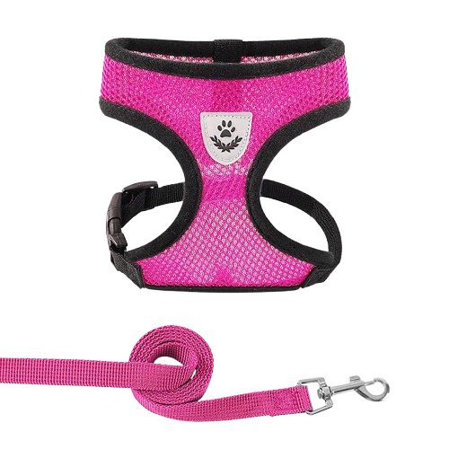 PawComfort – Pettorina Traspirante Regolabile con Riflettenti