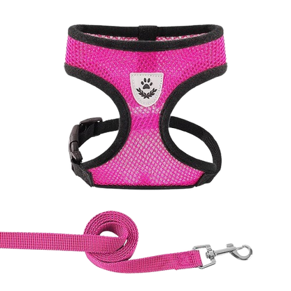 PawComfort – Pettorina Traspirante Regolabile con Riflettenti