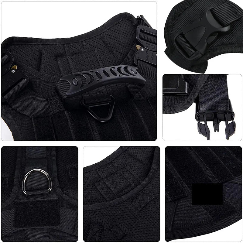 TactiPaw – Pettorina Tattica Professionale per Cani Attivi