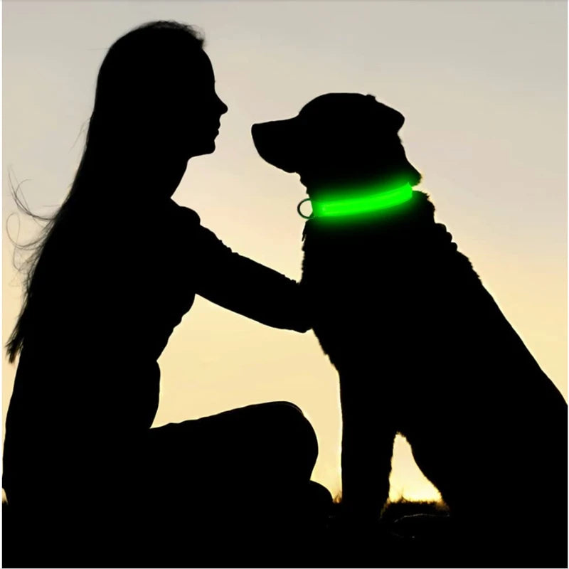 GlowSafe – Collare LED Ricaricabile per Cani e Gatti
