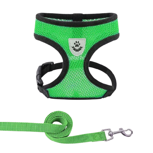 PawComfort – Pettorina Traspirante Regolabile con Riflettenti