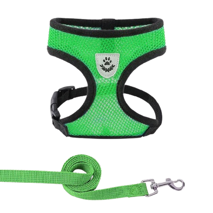 PawComfort – Pettorina Traspirante Regolabile con Riflettenti