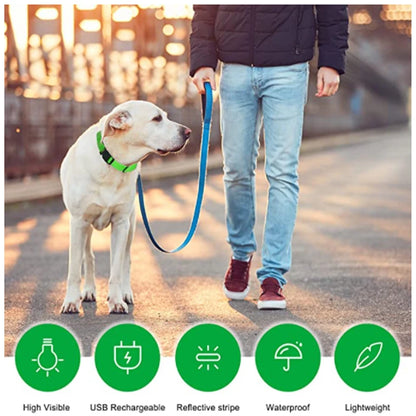 GlowSafe – Collare LED Ricaricabile per Cani e Gatti
